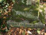 image of grave number 188005